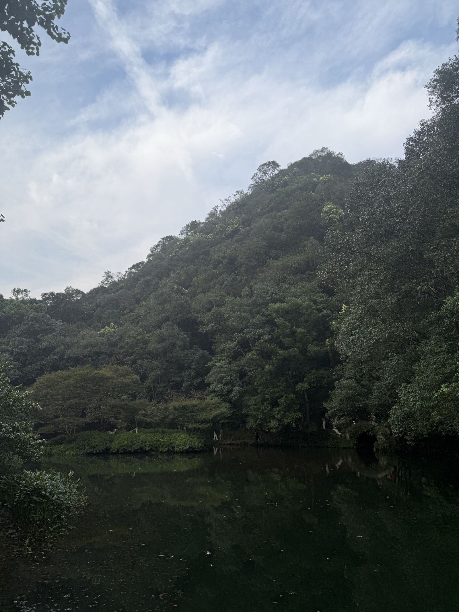 墨色的水面