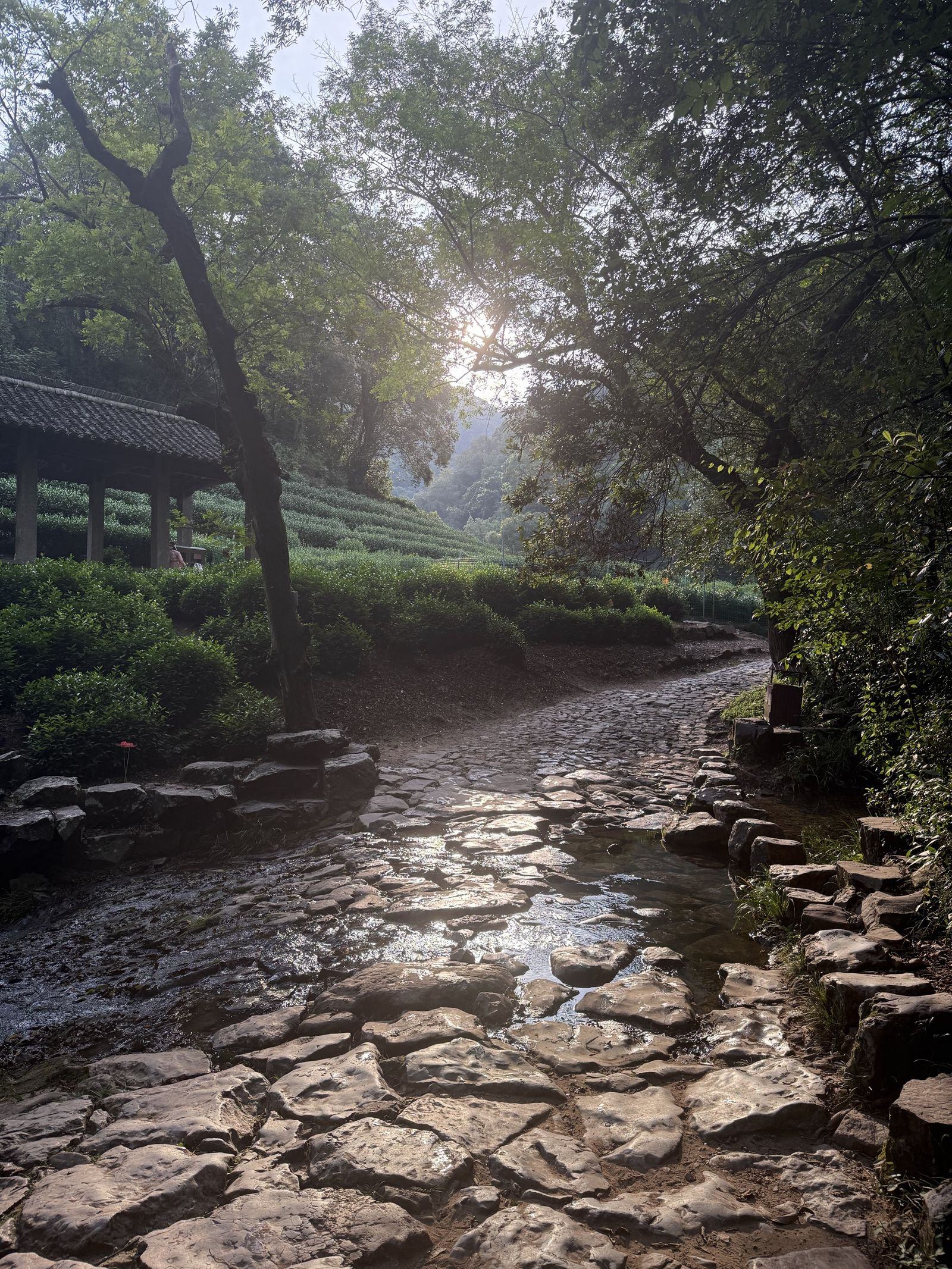 同一条山路