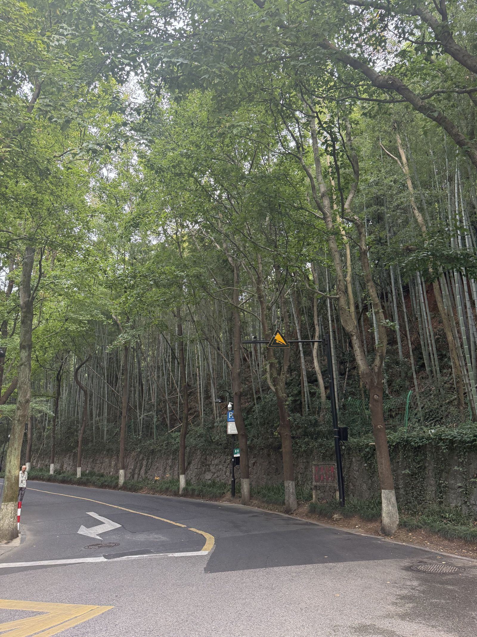 盘山公路的弯道