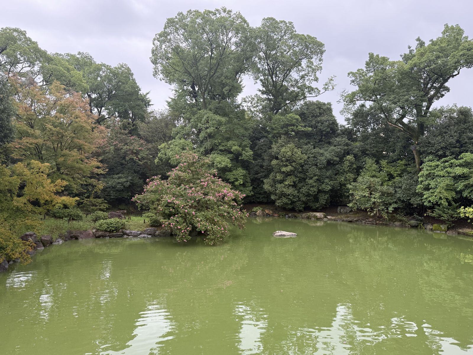 御苑的池泉