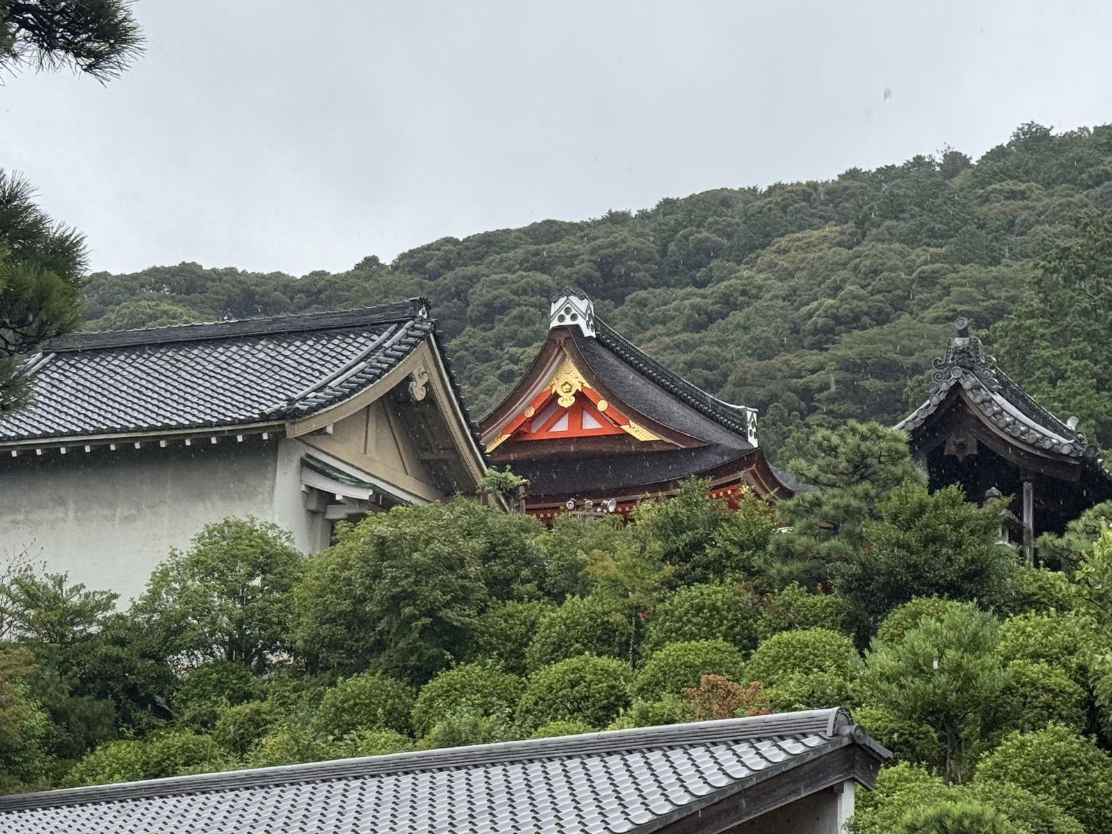 山林间的黑瓦殿宇