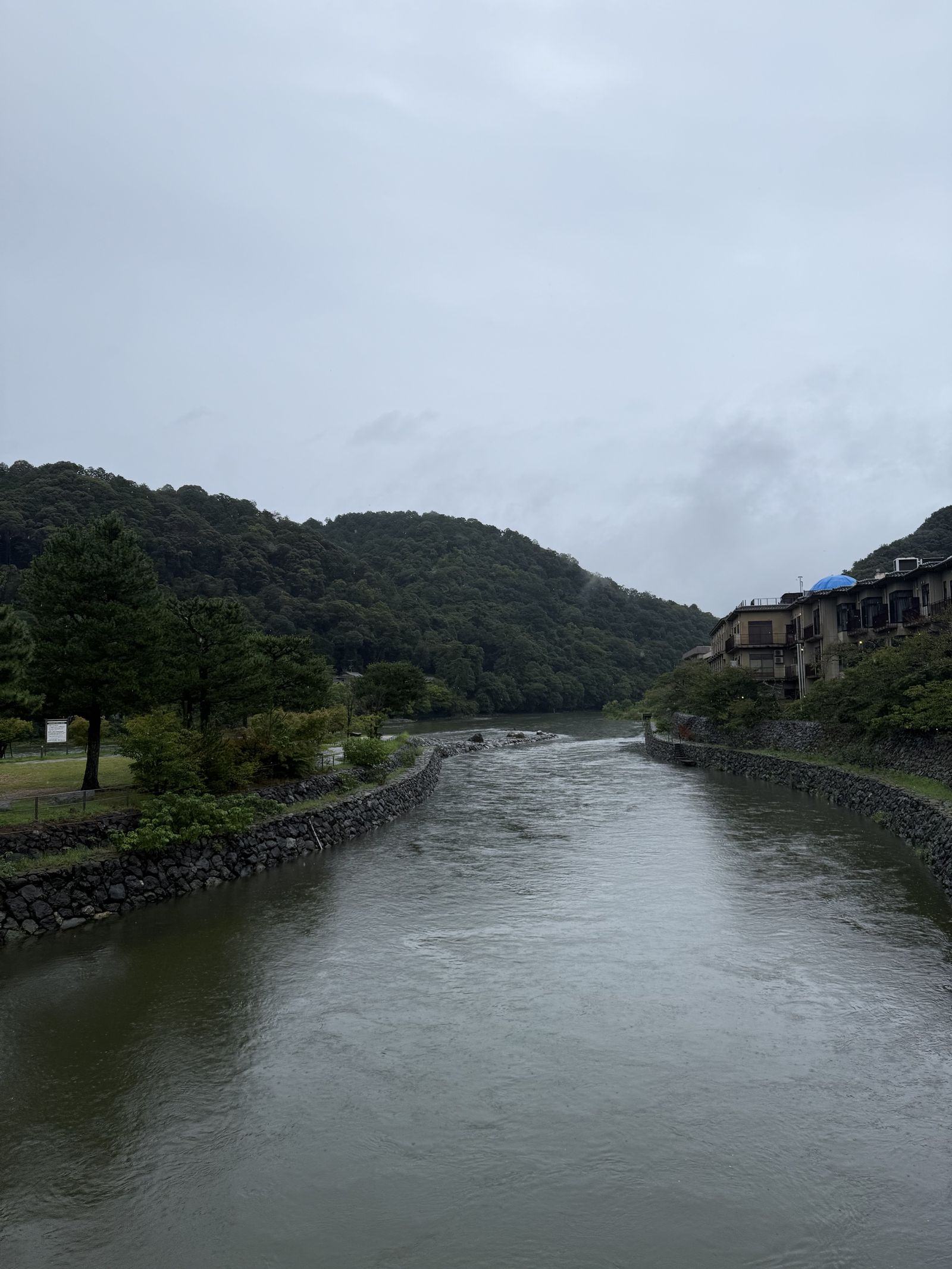 涨水的河